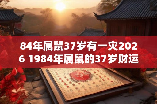 84年属鼠37岁有一灾2026 1984年属鼠的37岁财运好吗