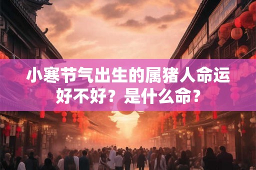小寒节气出生的属猪人命运好不好？是什么命？