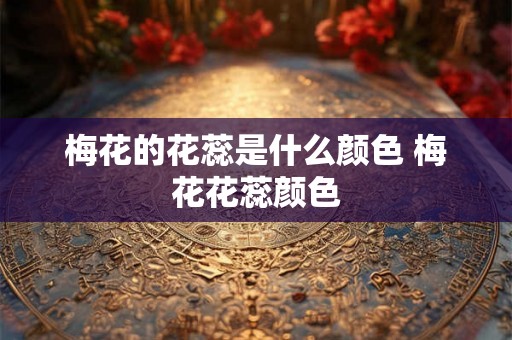梅花的花蕊是什么颜色 梅花花蕊颜色