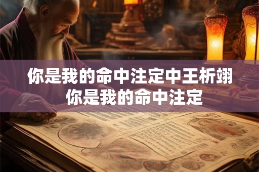你是我的命中注定中王析翊  你是我的命中注定