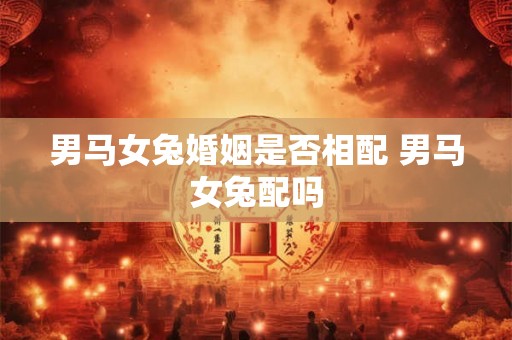 男马女兔婚姻是否相配 男马女兔配吗