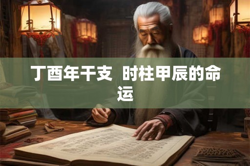 丁酉年干支  时柱甲辰的命运