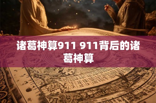 诸葛神算911 911背后的诸葛神算