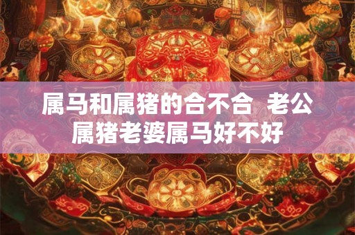 属马和属猪的合不合  老公属猪老婆属马好不好