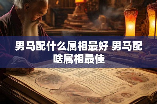 男马配什么属相最好 男马配啥属相最佳 男马配什么属相最好 男马配啥属相最佳