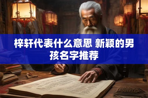 梓轩代表什么意思 新颖的男孩名字推荐 梓轩代表什么意思 新颖的男孩名字推荐