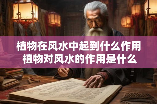 植物在风水中起到什么作用 植物对风水的作用是什么