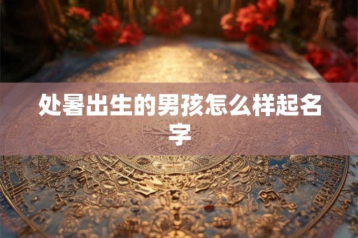 处暑出生的男孩怎么样起名字