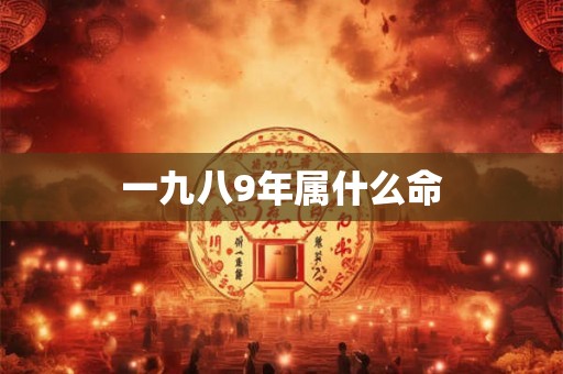 一九八9年属什么命 一九八9年属什么命