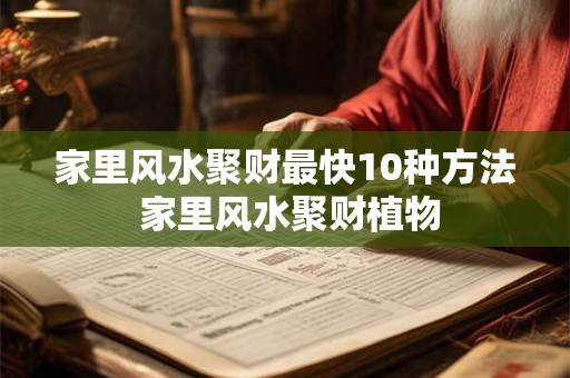 家里风水聚财最快10种方法 家里风水聚财植物 家里风水聚财最快10种方法 家里风水聚财植物