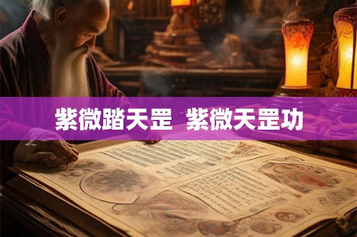 紫微踏天罡 紫微天罡功 紫微踏天罡 紫微天罡功