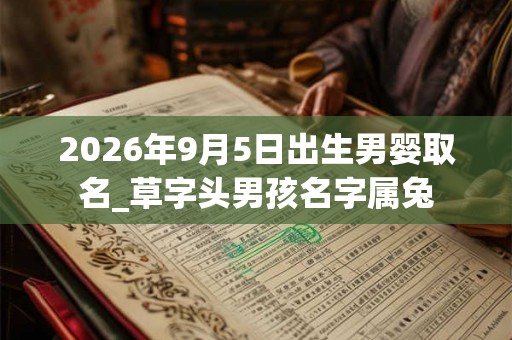 2026年9月5日出生男婴取名_草字头男孩名字属兔