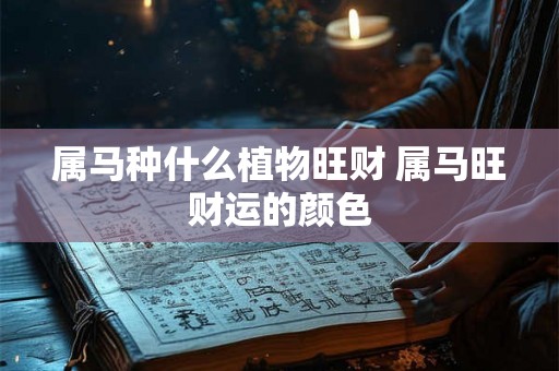 属马种什么植物旺财 属马旺财运的颜色