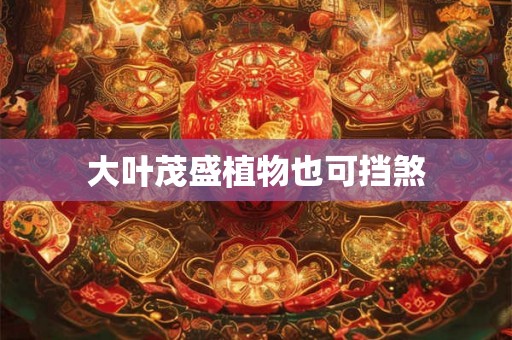 大叶茂盛植物也可挡煞 大叶茂盛植物也可挡煞