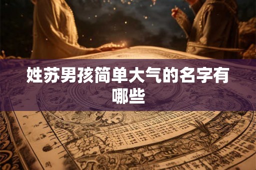 姓苏男孩简单大气的名字有哪些