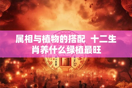 属相与植物的搭配  十二生肖养什么绿植最旺
