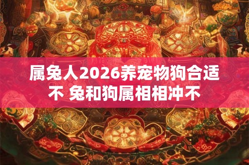 属兔人2026养宠物狗合适不 兔和狗属相相冲不