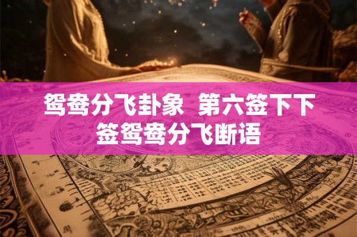 鸳鸯分飞卦象  第六签下下签鸳鸯分飞断语