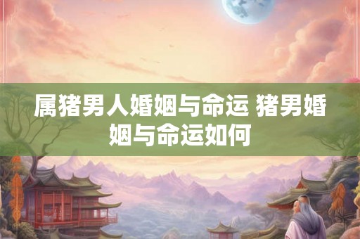 属猪男人婚姻与命运 猪男婚姻与命运如何 属猪男人婚姻与命运 猪男婚姻与命运如何
