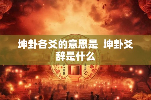 坤卦各爻的意思是  坤卦爻辞是什么