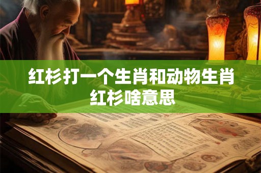 红杉打一个生肖和动物生肖 红杉啥意思