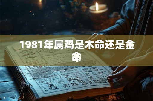 1981年属鸡是木命还是金命