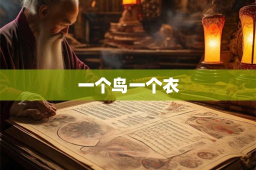 一个鸟一个衣
