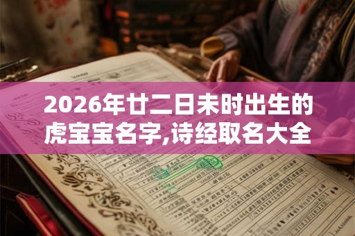 2026年廿二日未时出生的虎宝宝名字,诗经取名大全