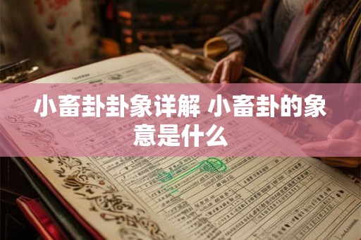 小畜卦卦象详解 小畜卦的象意是什么