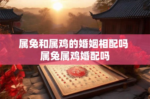 属兔和属鸡的婚姻相配吗 属兔属鸡婚配吗
