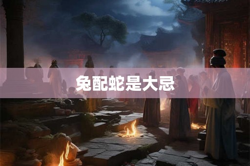 兔配蛇是大忌