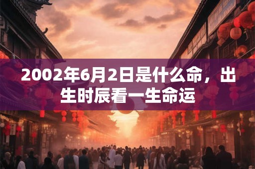 2002年6月2日是什么命，出生时辰看一生命运