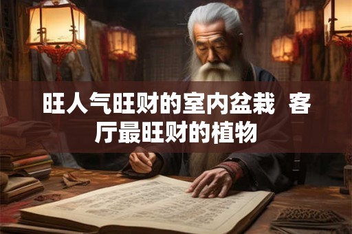 旺人气旺财的室内盆栽  客厅最旺财的植物
