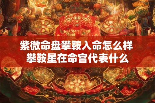 紫微命盘攀鞍入命怎么样 攀鞍星在命宫代表什么