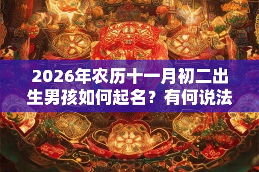 2026年农历十一月初二出生男孩如何起名？有何说法？