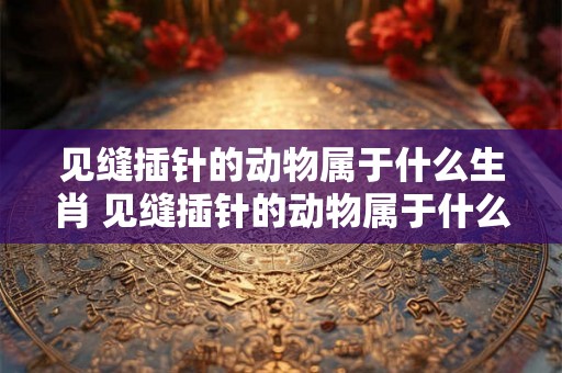 见缝插针的动物属于什么生肖 见缝插针的动物属于什么生肖呢