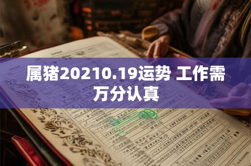 属猪20210.19运势 工作需万分认真