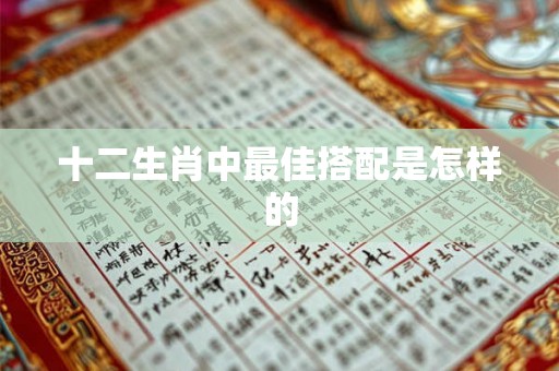 十二生肖中最佳搭配是怎样的 十二生肖中最佳搭配是怎样的