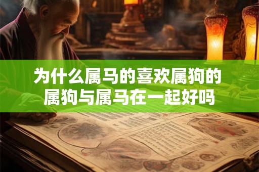 为什么属马的喜欢属狗的 属狗与属马在一起好吗