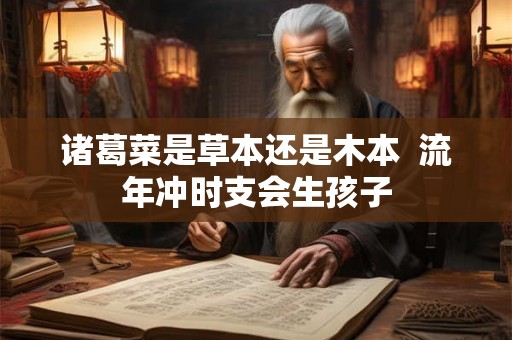 诸葛菜是草本还是木本  流年冲时支会生孩子