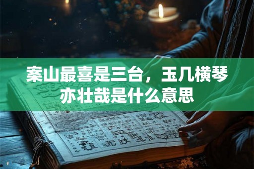 案山最喜是三台，玉几横琴亦壮哉是什么意思