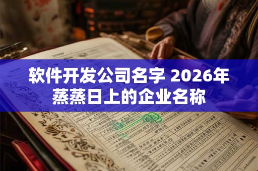 软件开发公司名字 2026年蒸蒸日上的企业名称