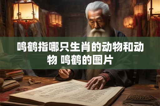 鸣鹤指哪只生肖的动物和动物 鸣鹤的图片