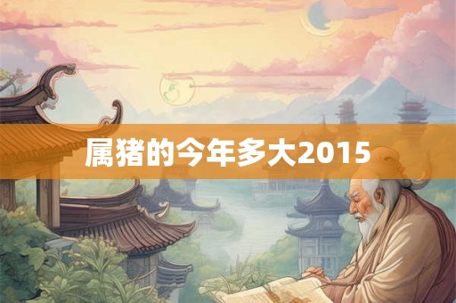 属猪的今年多大2015