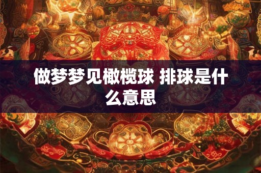 做梦梦见橄榄球 排球是什么意思