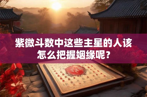 紫微斗数中这些主星的人该怎么把握姻缘呢？