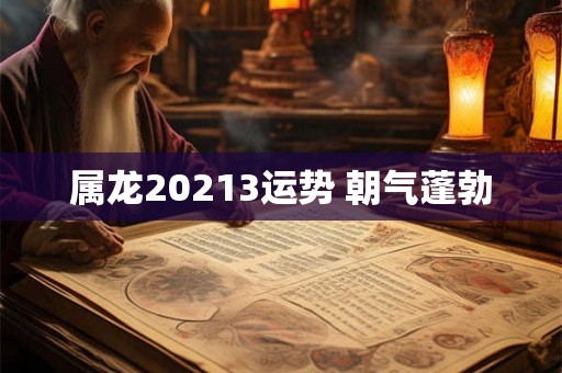 属龙20213运势 朝气蓬勃