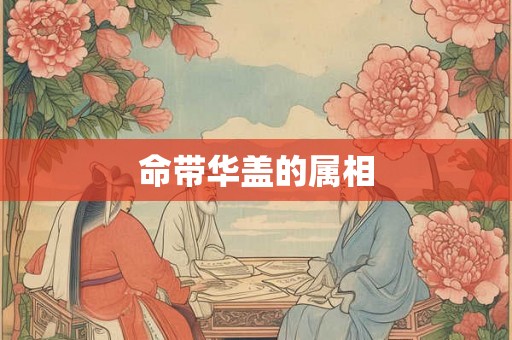 命带华盖的属相