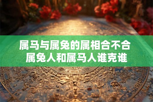 属马与属兔的属相合不合 属兔人和属马人谁克谁