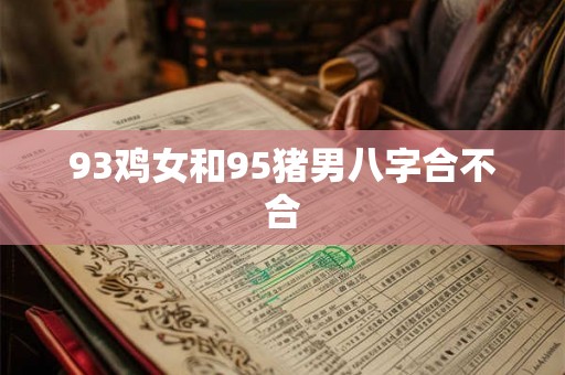 93鸡女和95猪男八字合不合